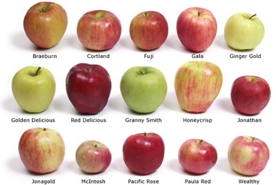 apple types